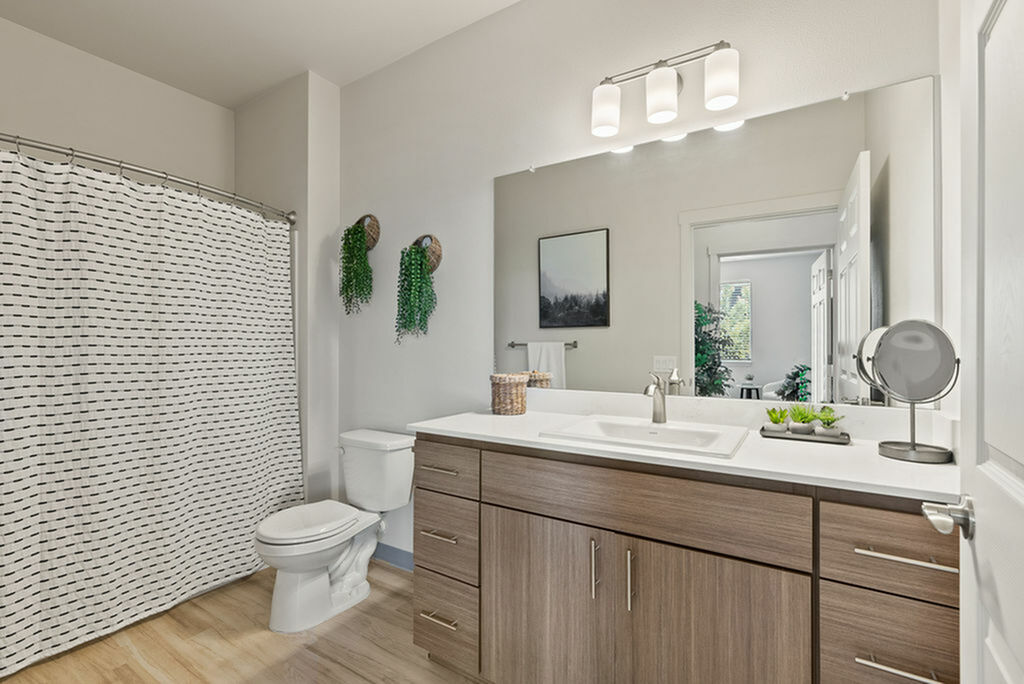 Meritum Evergreen Image 6