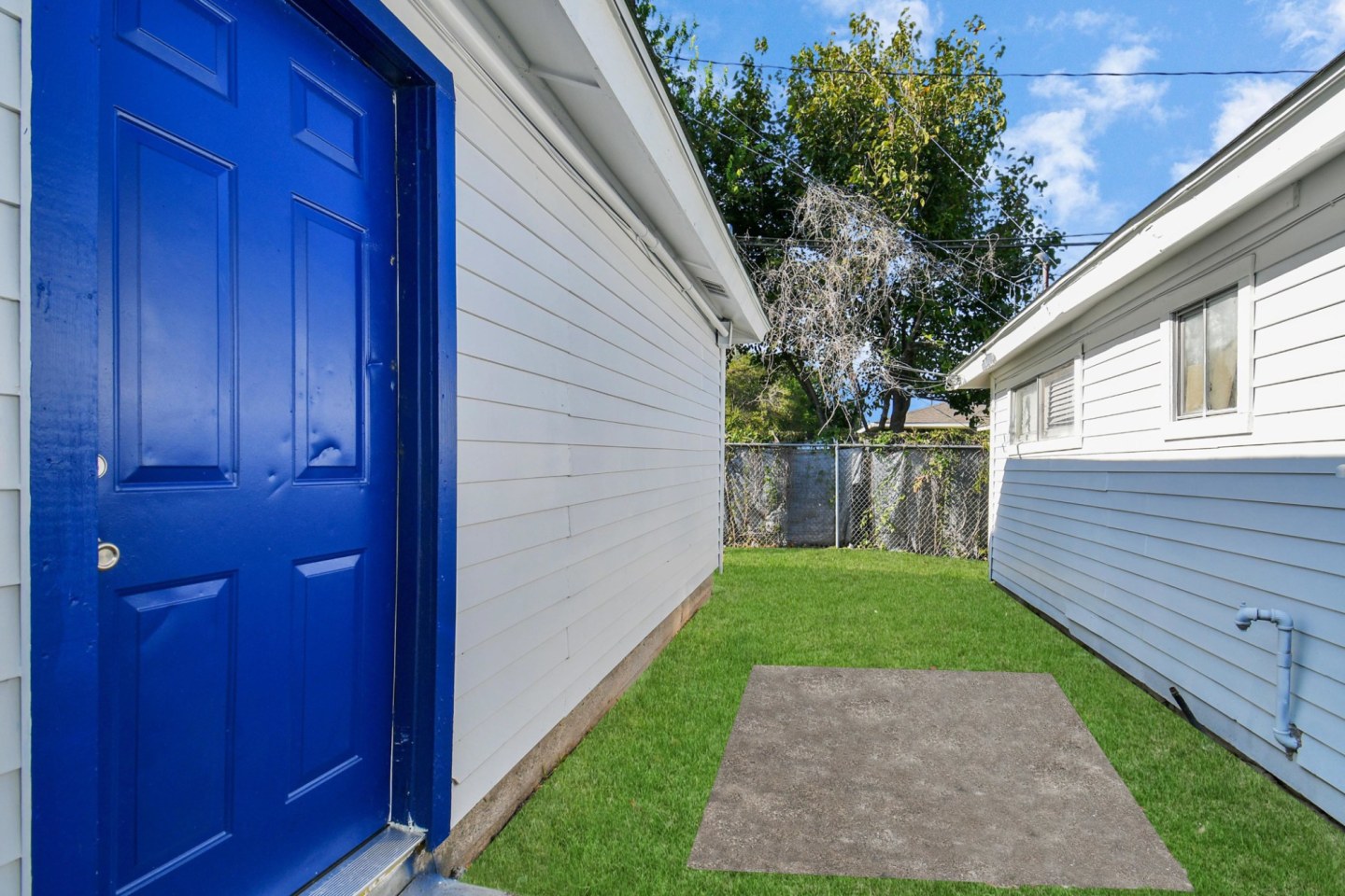Phlox Duplexes Image 14