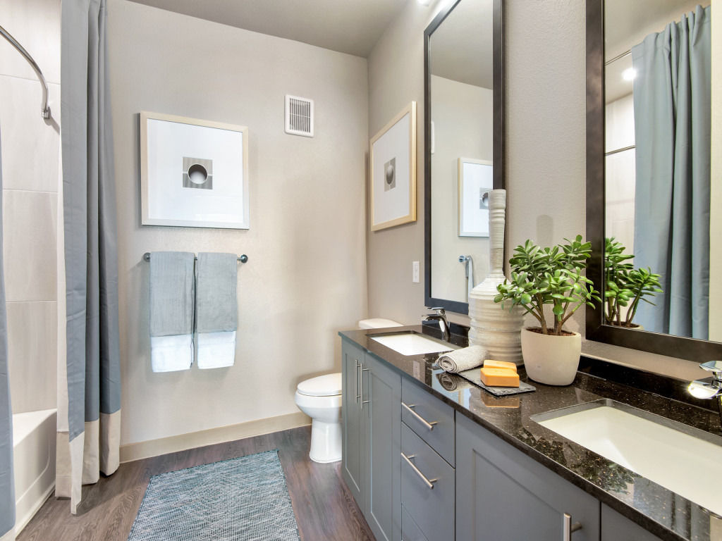 880 Lyn Image 5