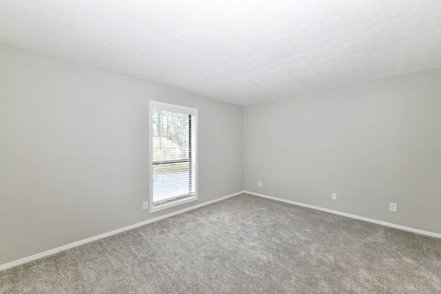 The Dakota at Druid Hills Image 37