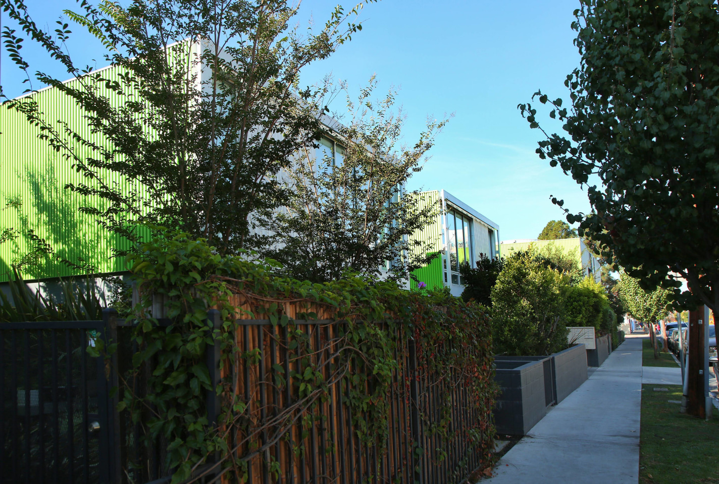 The Geffen Image 8
