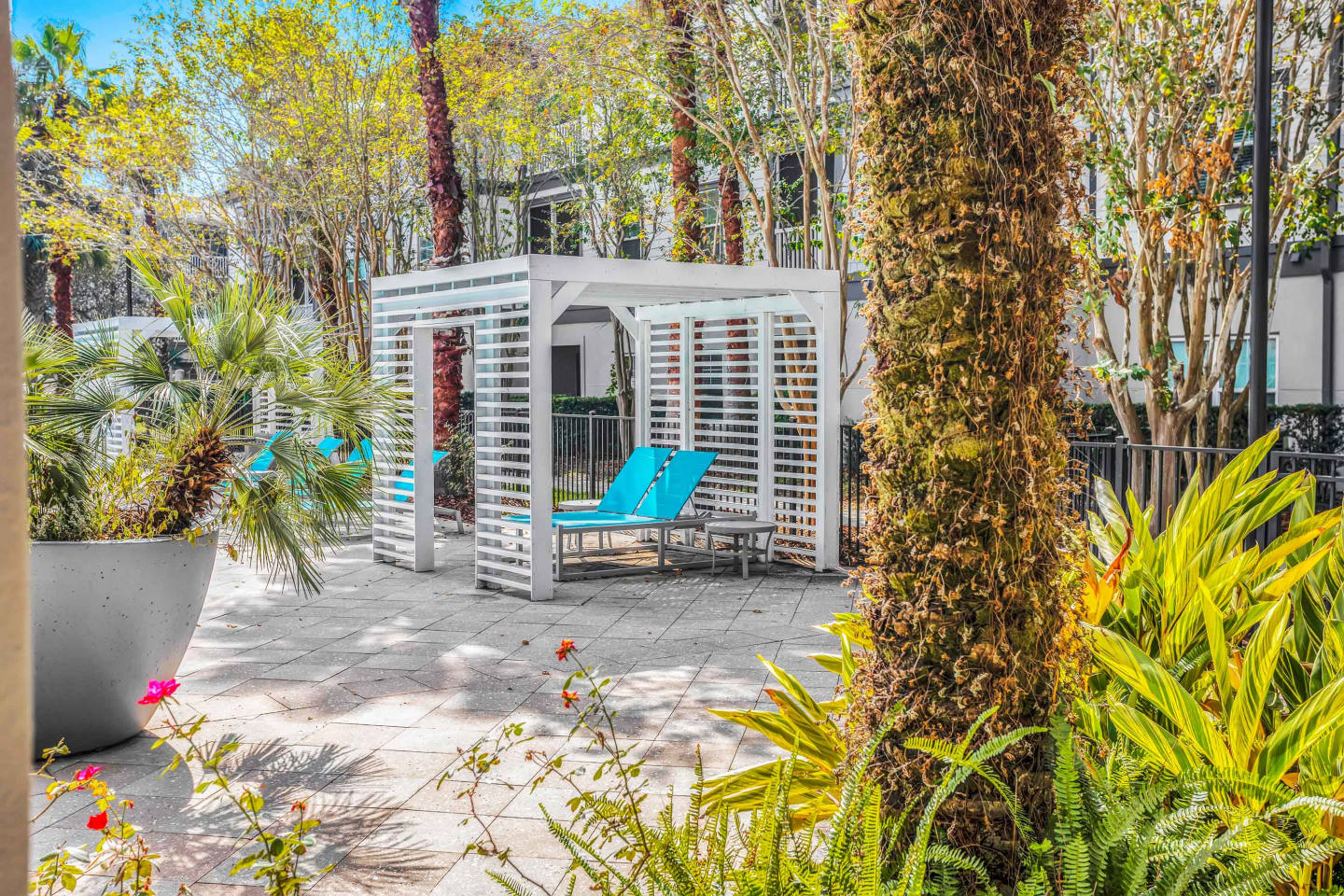 The Beach House Image 22