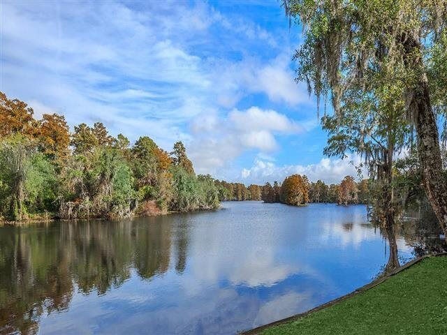 Rivertree Landing Apartment Homes Image 5