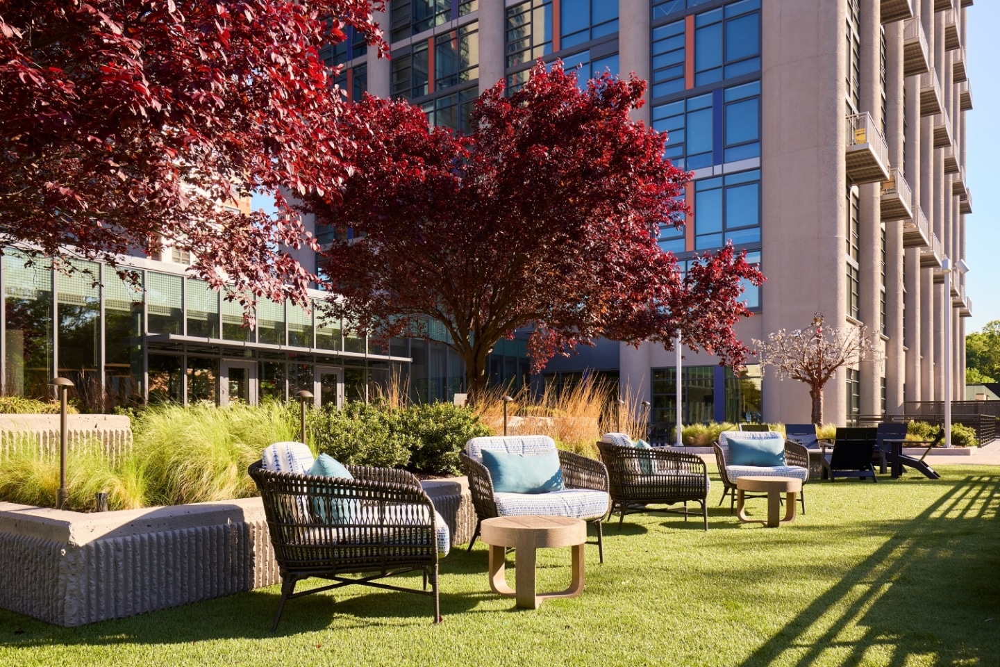 Park + Ford Apartments Image 7