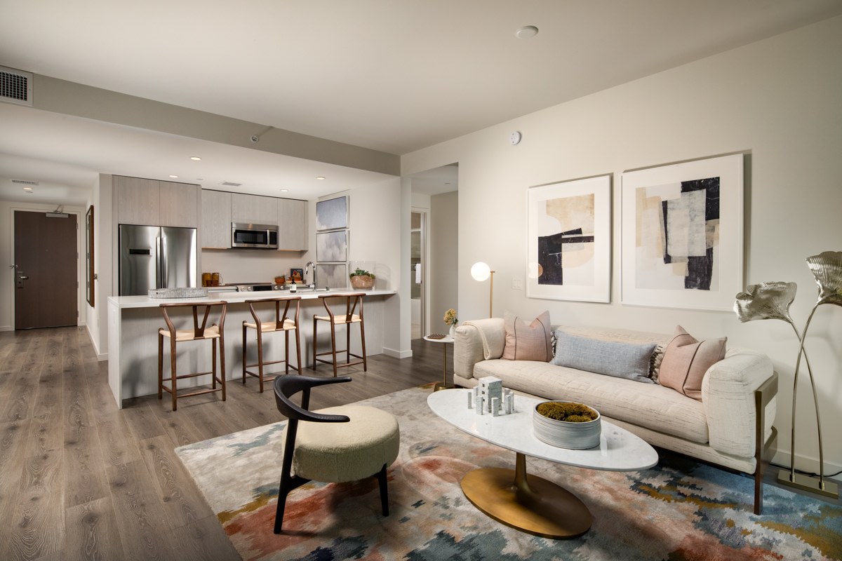 ARQ Image 20