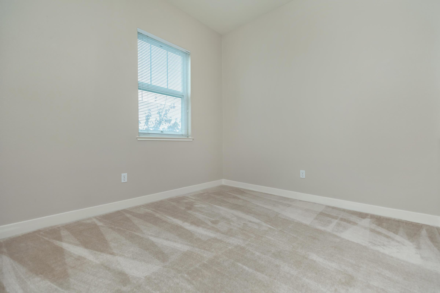 Oak Walk Image 22