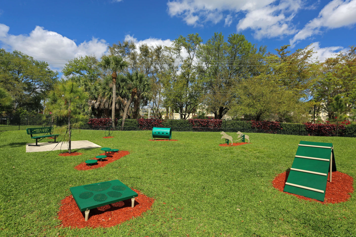 Visions at Willow Pond Image 18