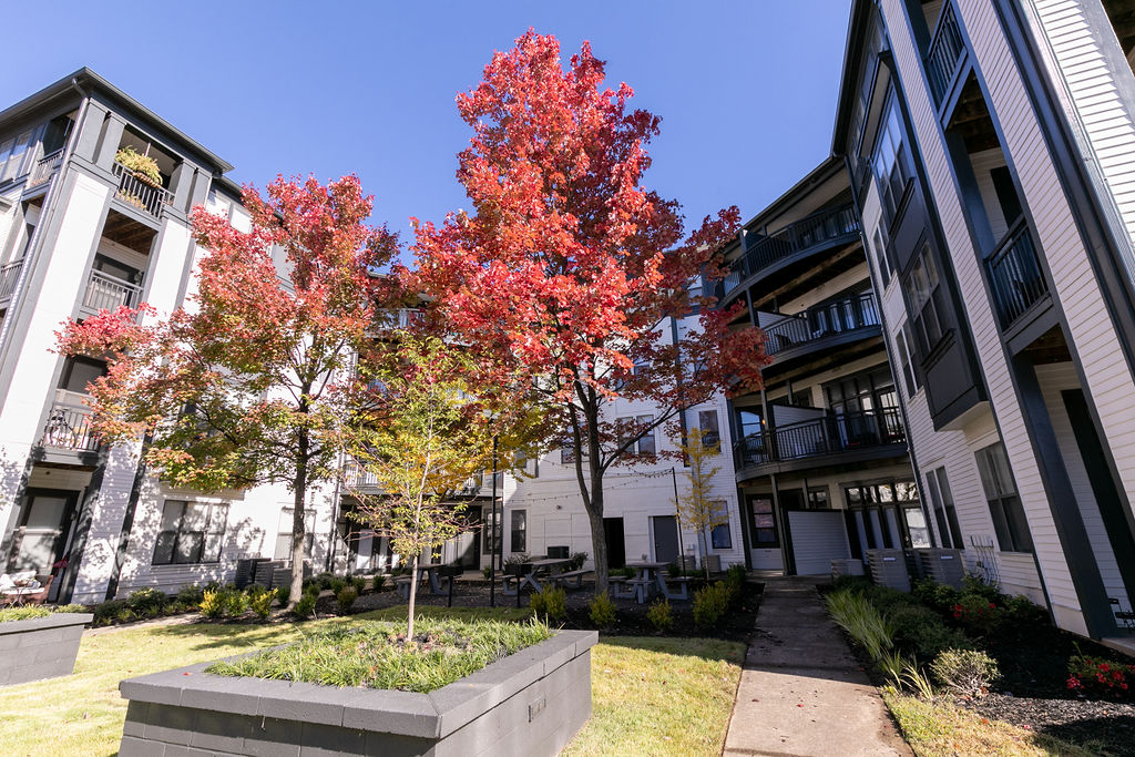 M Street Image 16
