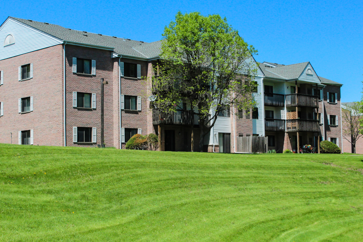 Olympic Ridge Apartments Image 25