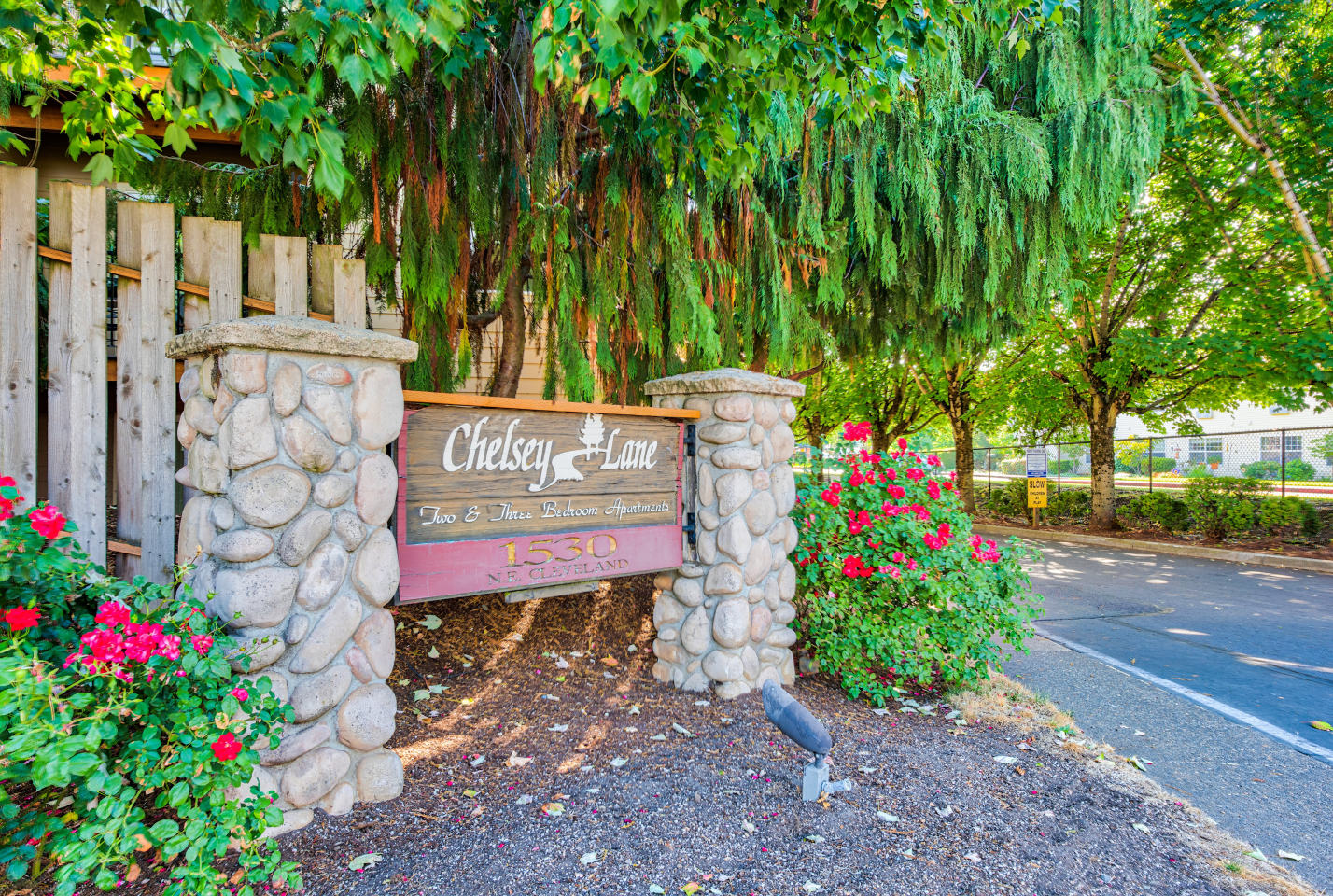 Chelsey Lane Image 35