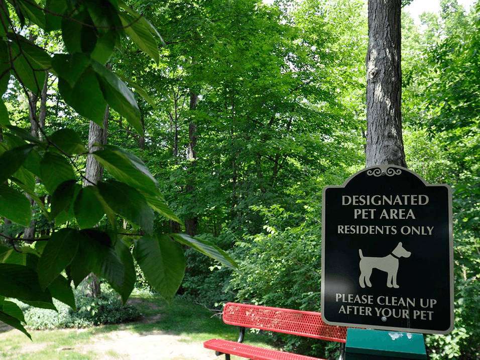 Preserve at Woodland Image 15