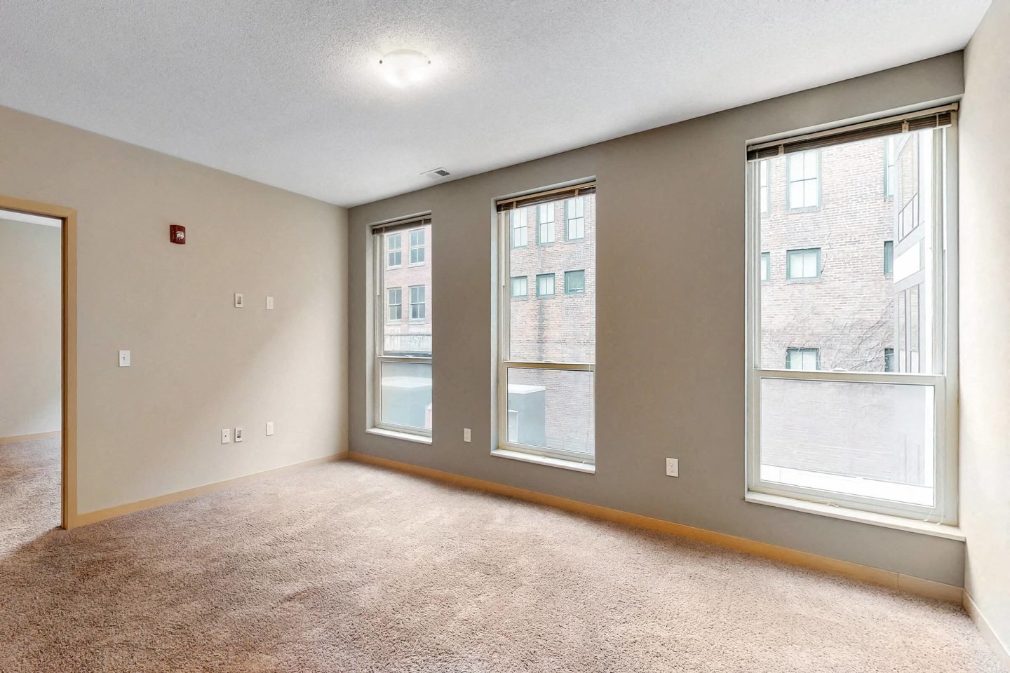 L14 Flats Image 14