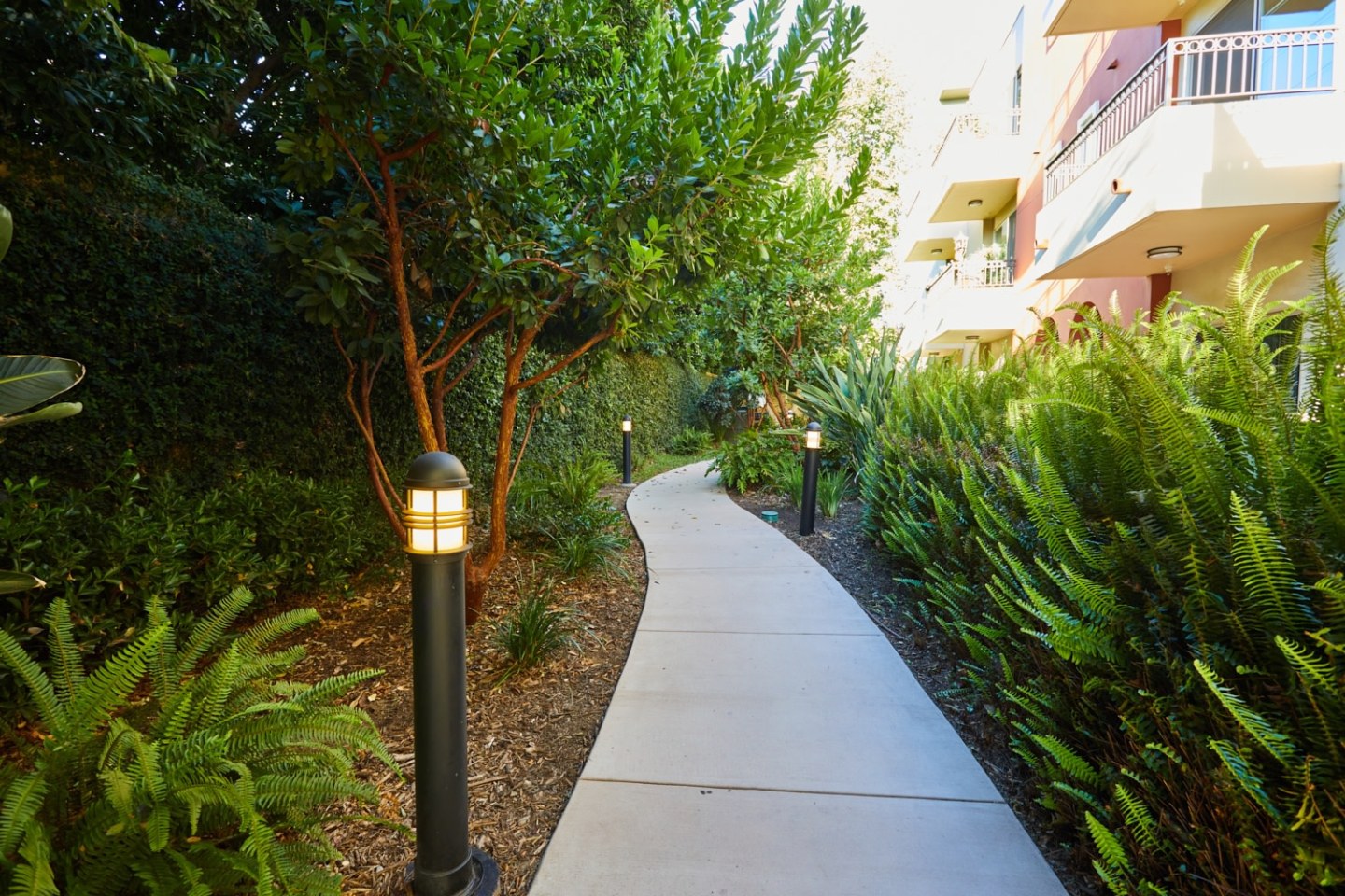 Townhomes at Magnolia Woods Image 12
