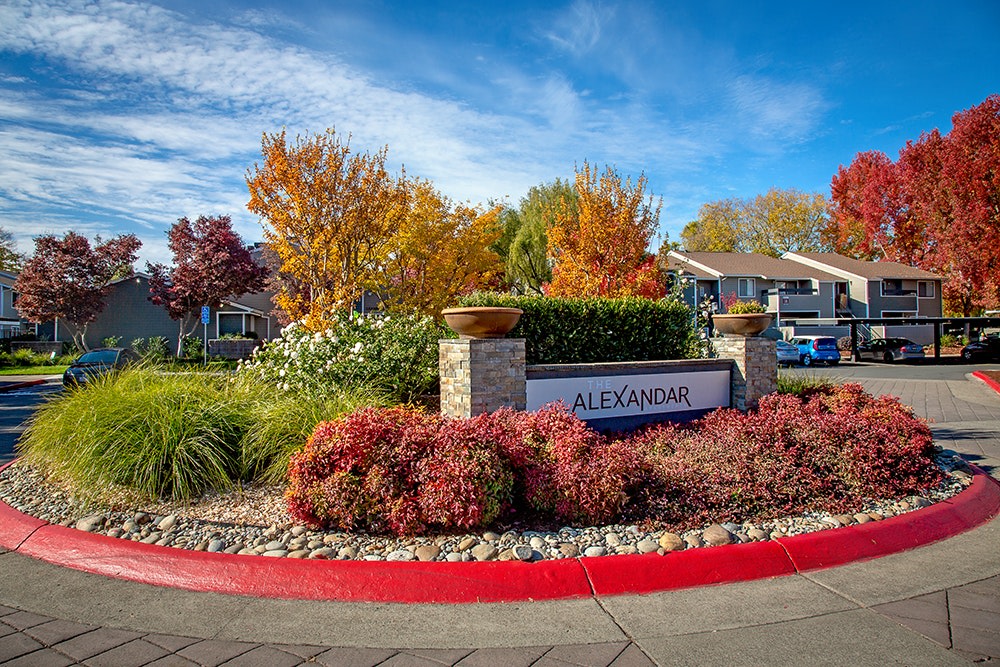 The Alexandar Image 25