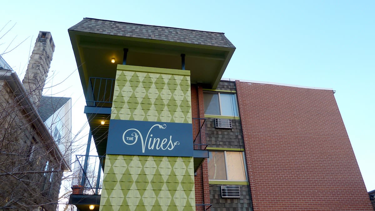 Vines Image 1