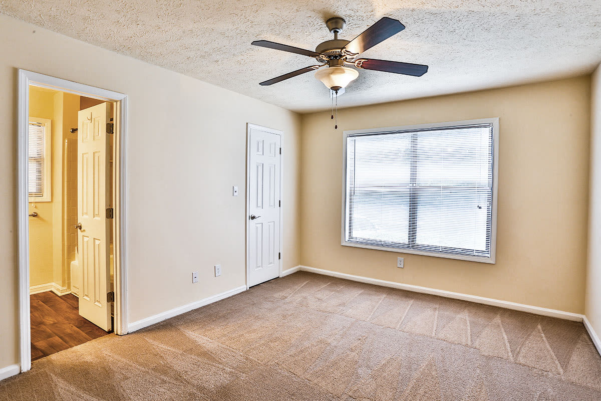 Park Trace Apartments Image 17