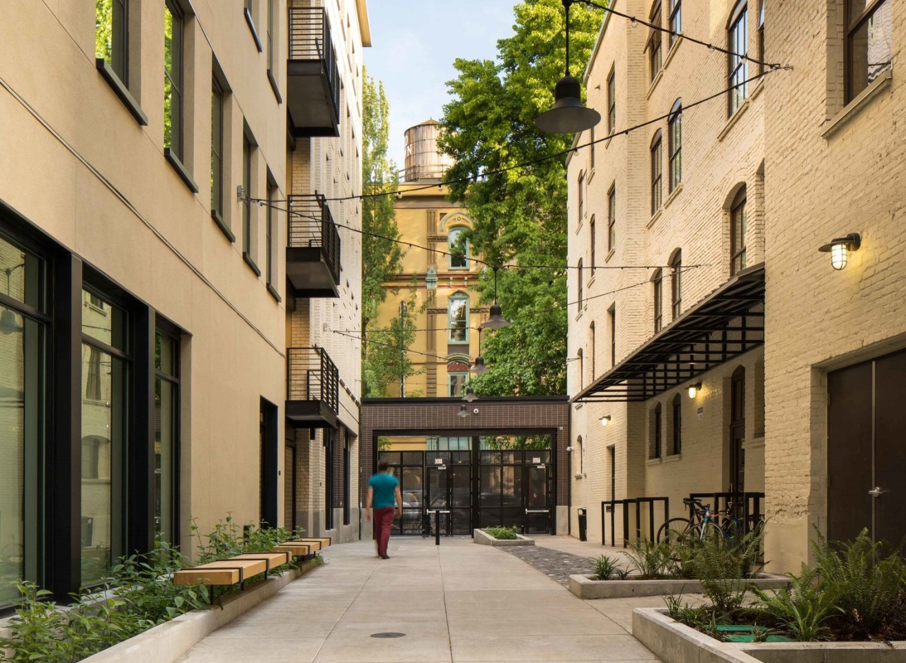 38 Davis Image 6