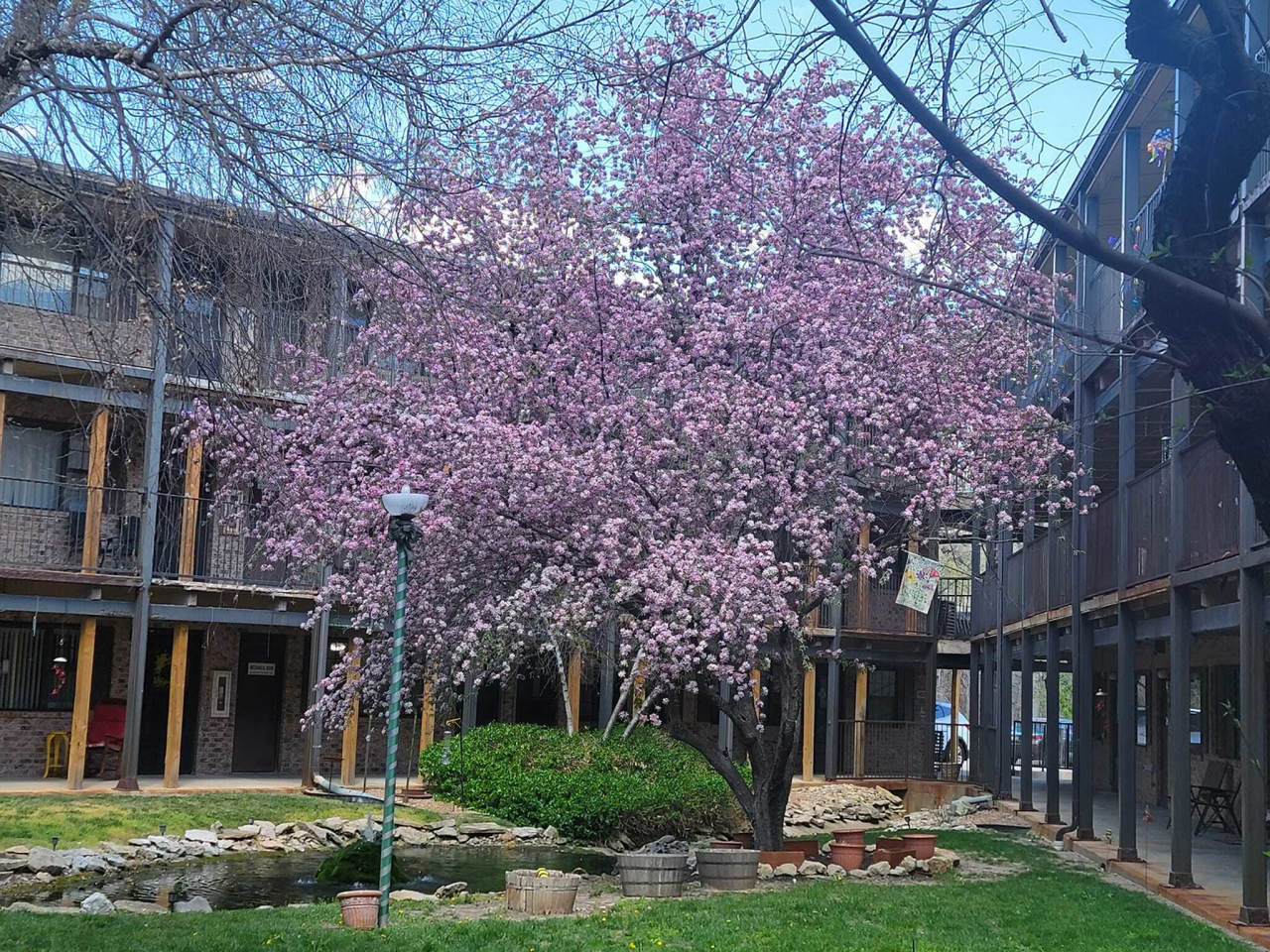 Maple Gardens Village Image 20