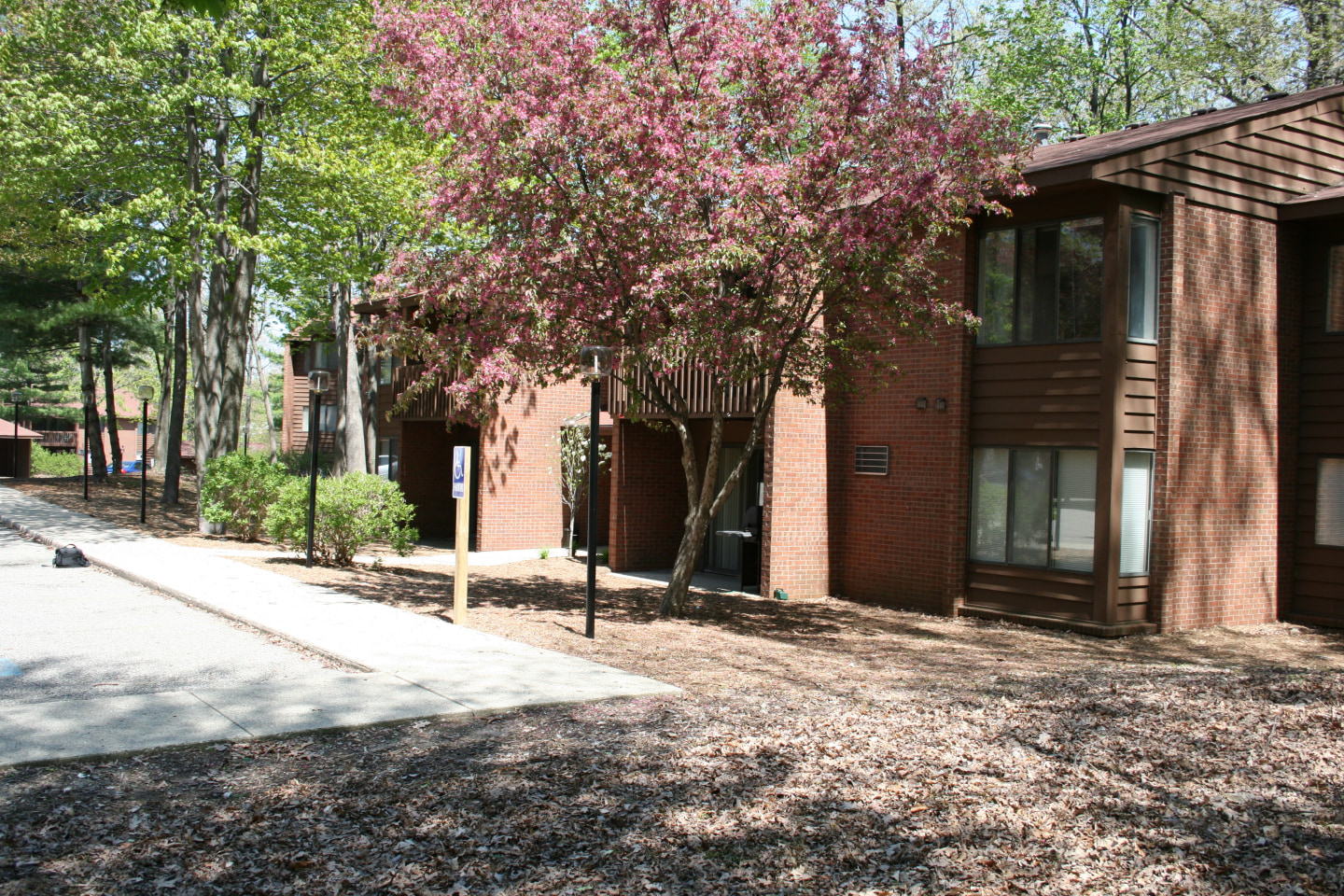 Deer View Image 33