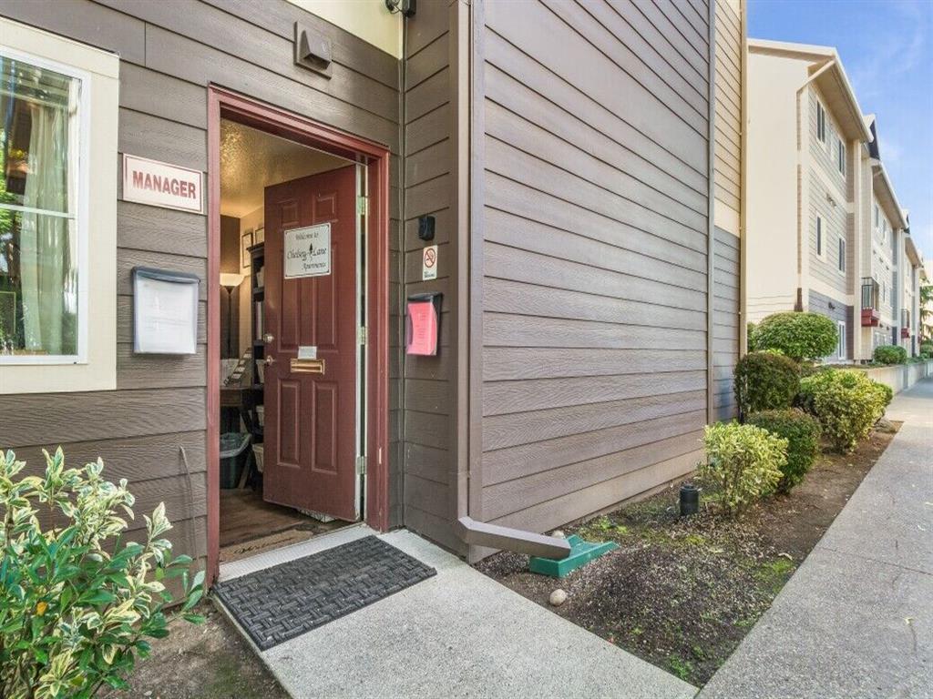 Chelsey Lane Image 5