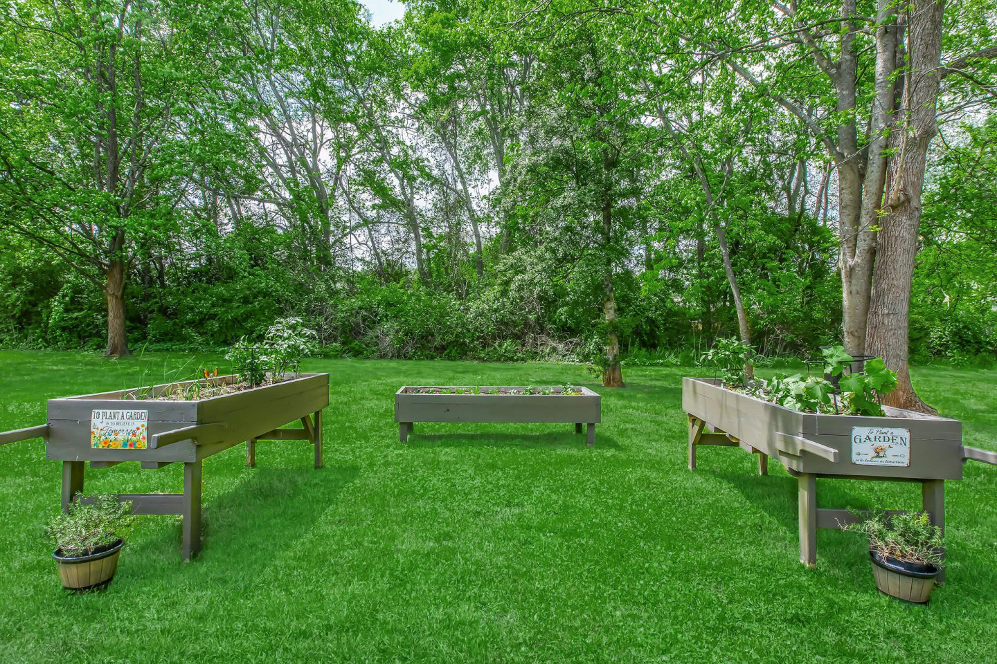 Alder Terrace Image 43