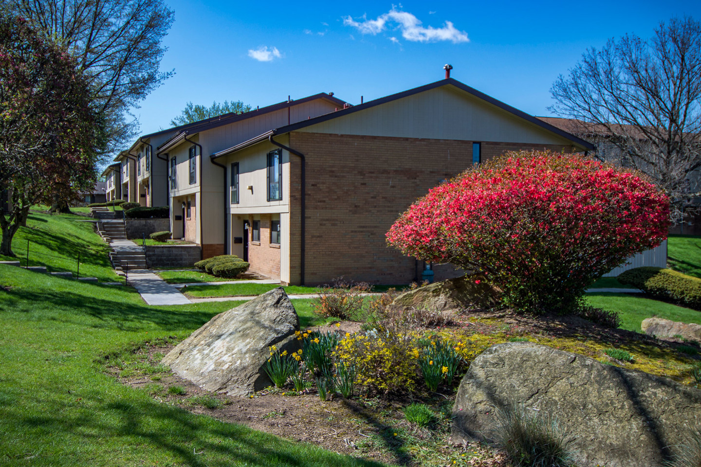 Carriage Park Apartments Image 13