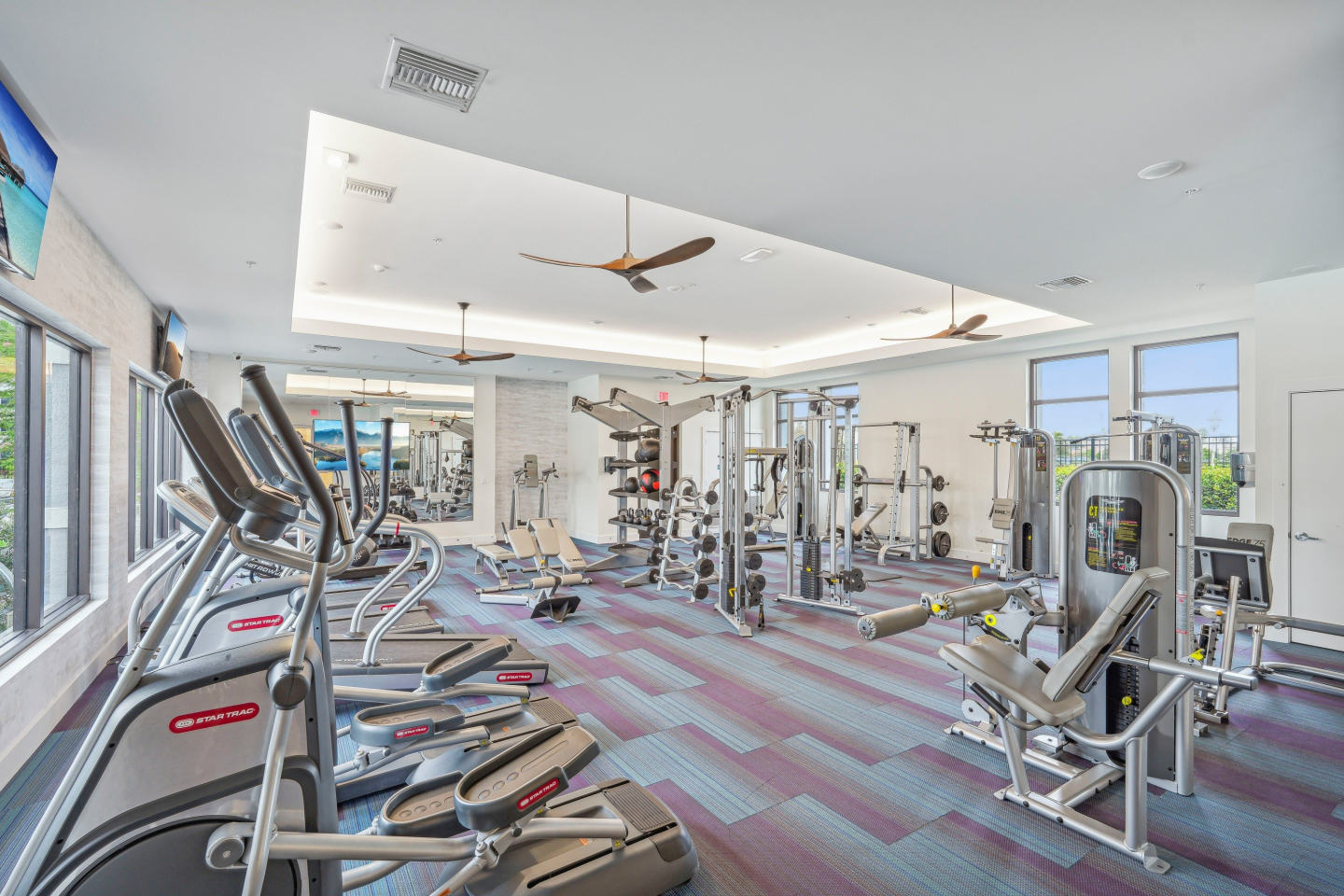 Edge75 Image 4