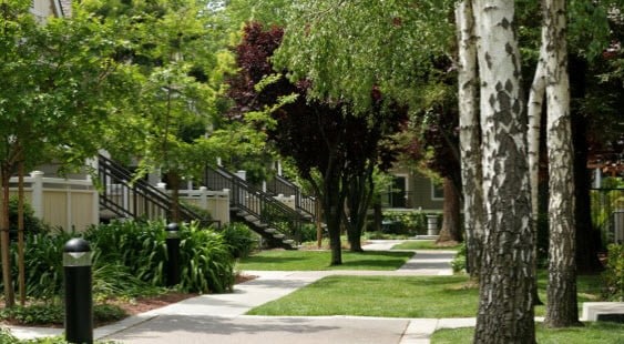 Park Central Apartments Image 12