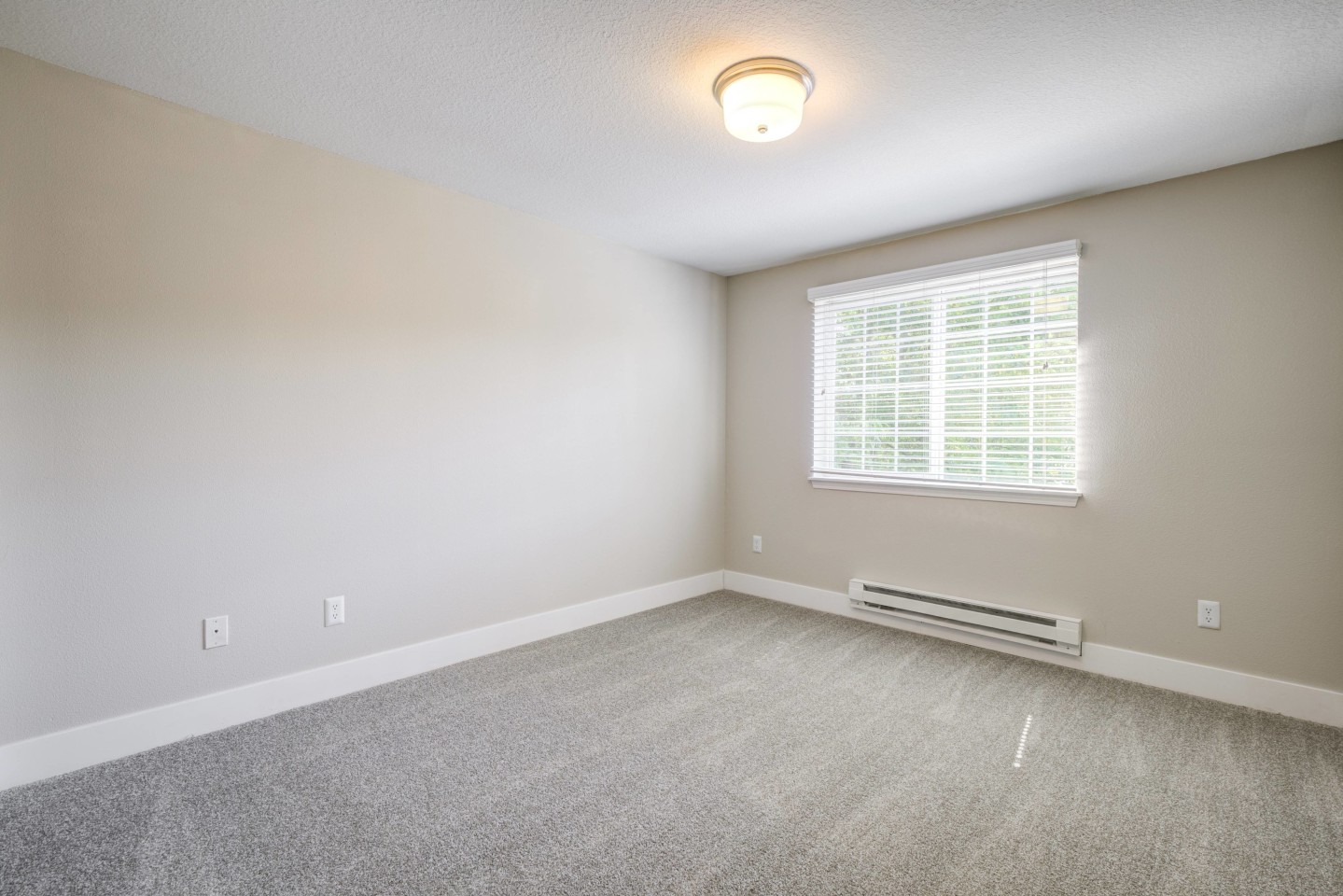 Avana Evergreen Image 55