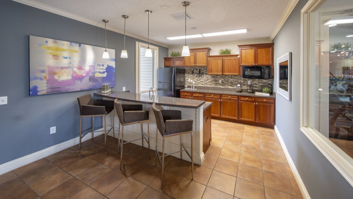 Enclave at Lake Ellenor Image 3