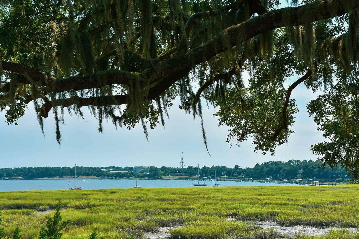 Preserve at Port Royal Image 40