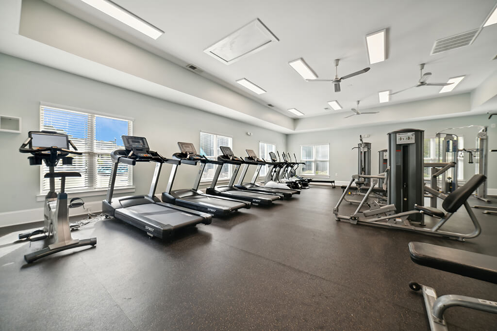 The Apartments at Shade Tree Image 2