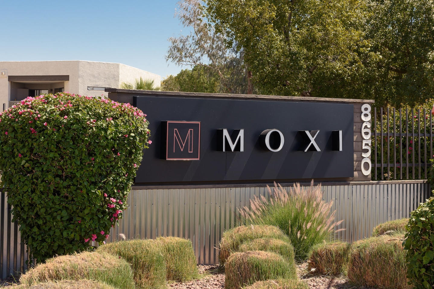 Moxi Image 29