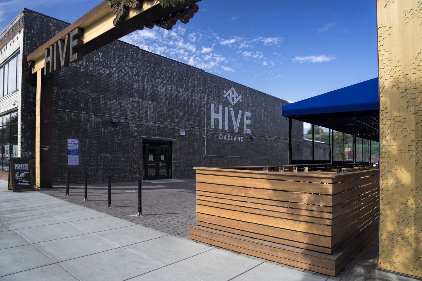 Mason at Hive Image 2
