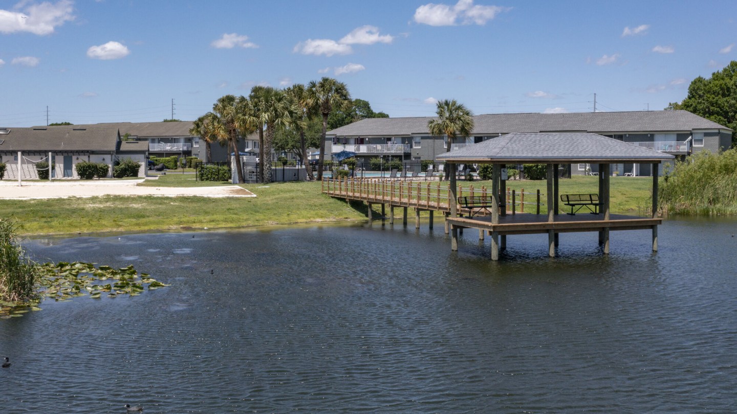 Hamilton Point on Egypt Lake Image 7
