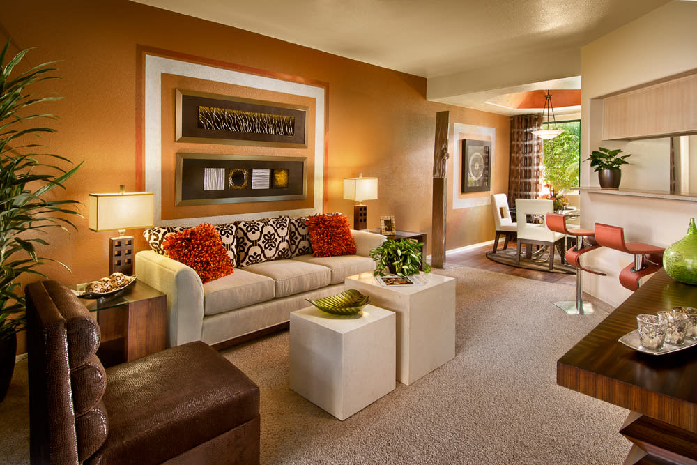 San Palmilla by Mark-Taylor Image 18