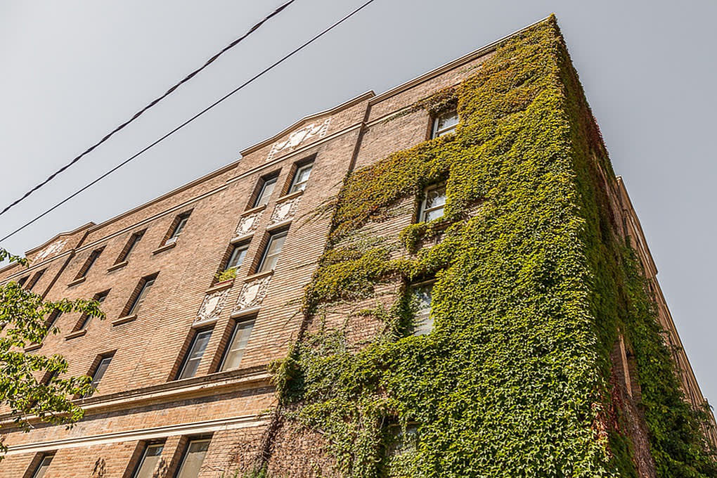 Whitworth Image 18