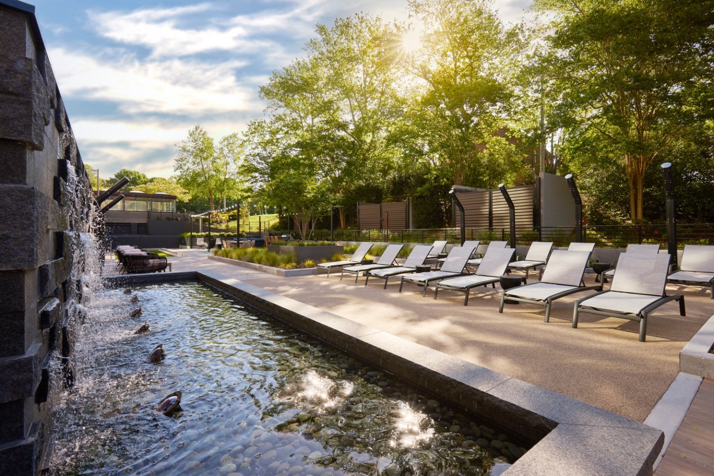 Park + Ford Apartments Image 34
