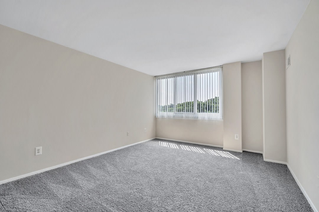 The Phoenix Apartments Image 24