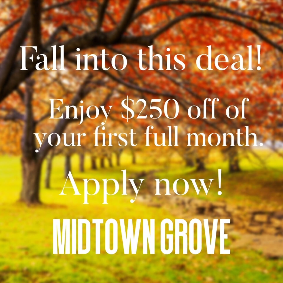 Midtown Grove Image 51