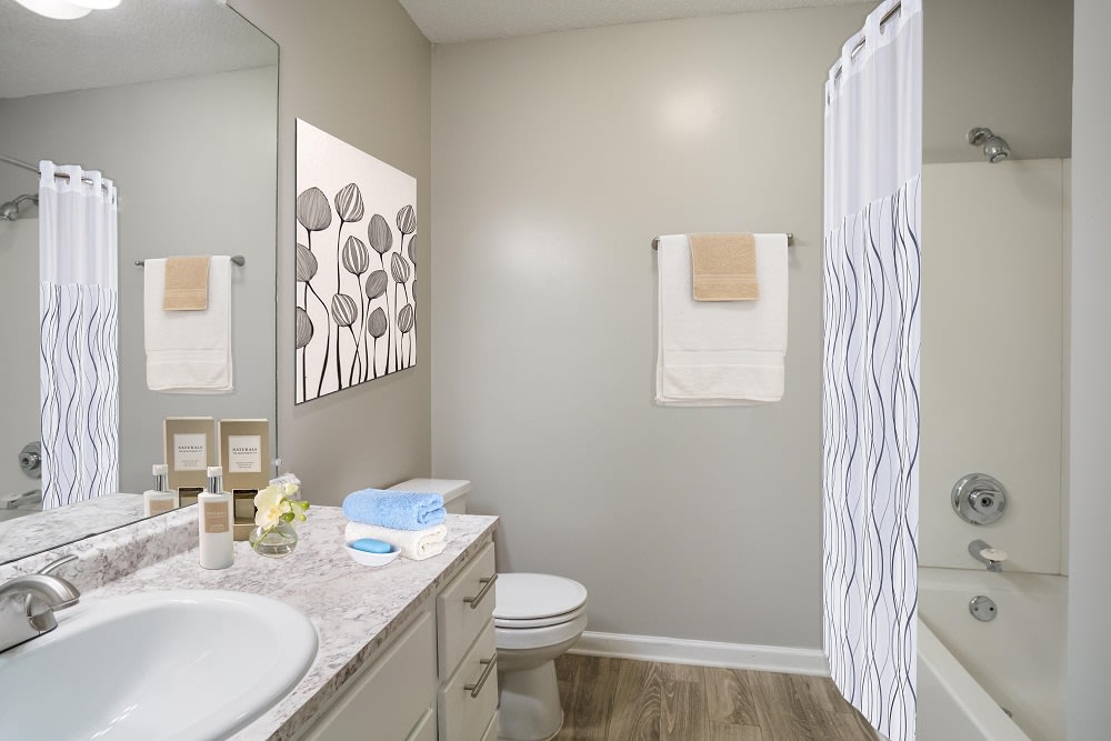 The Pointe at 731 Image 7
