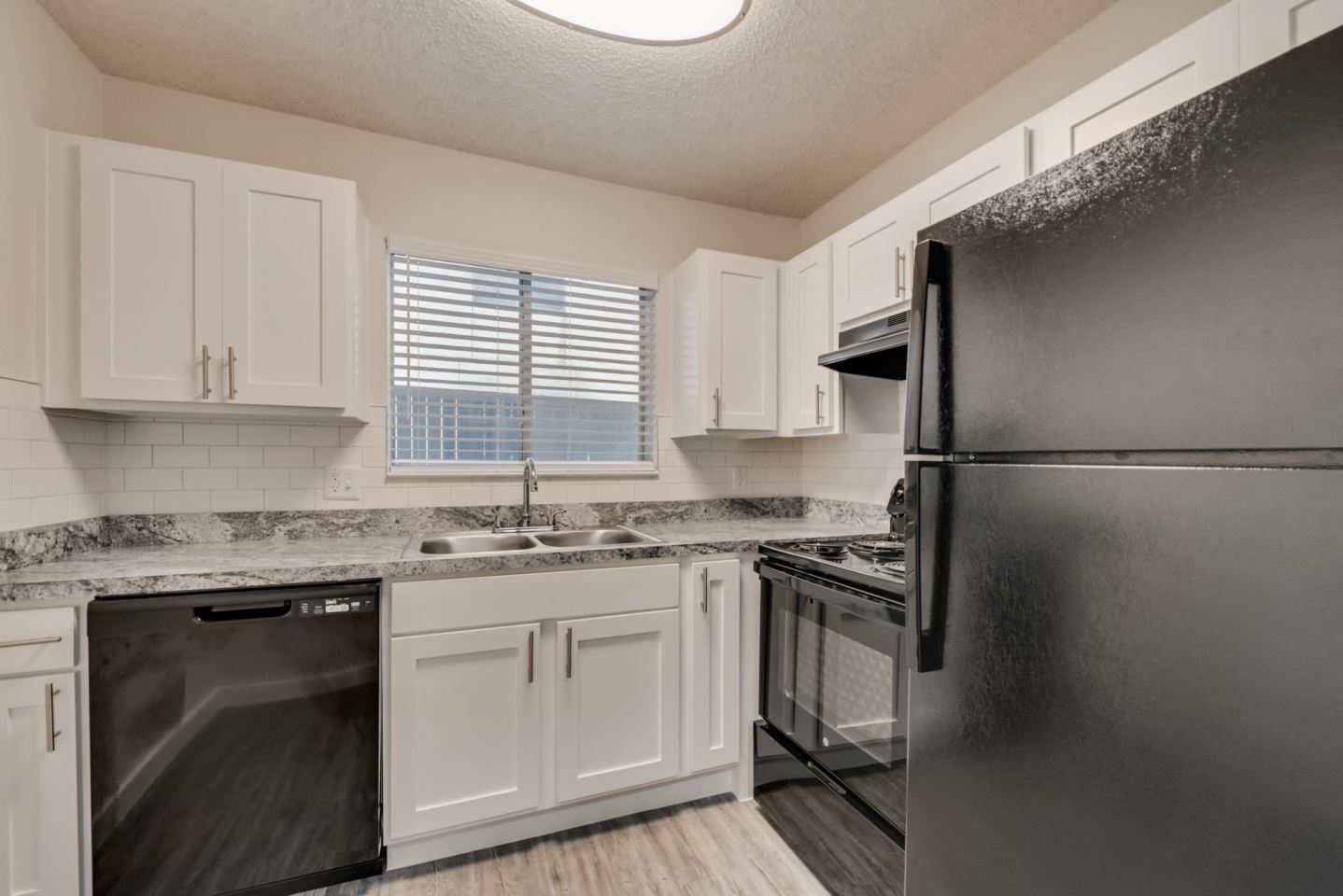 Eastwind Image 87
