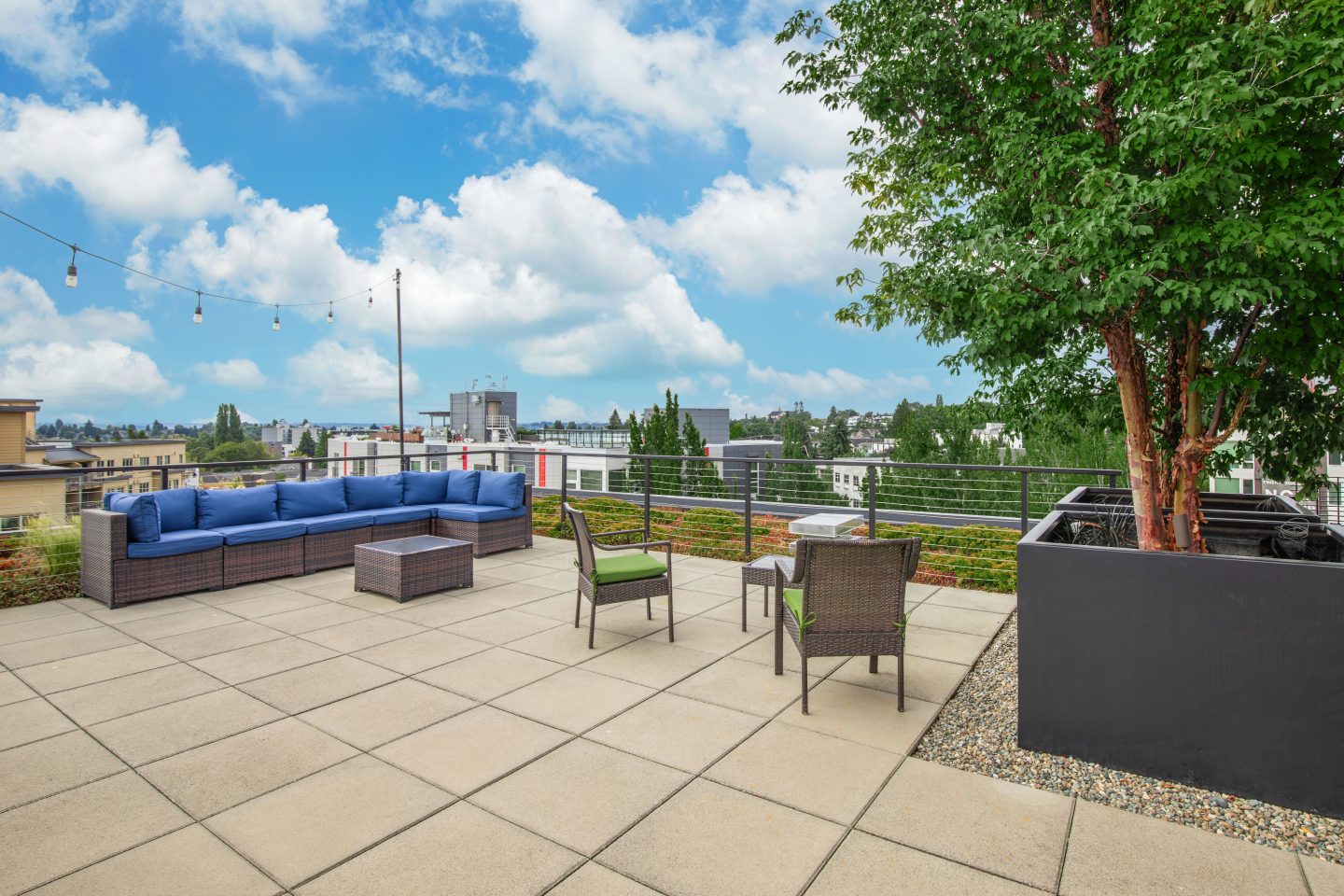 Avant Apartments - Student Housing Image 33