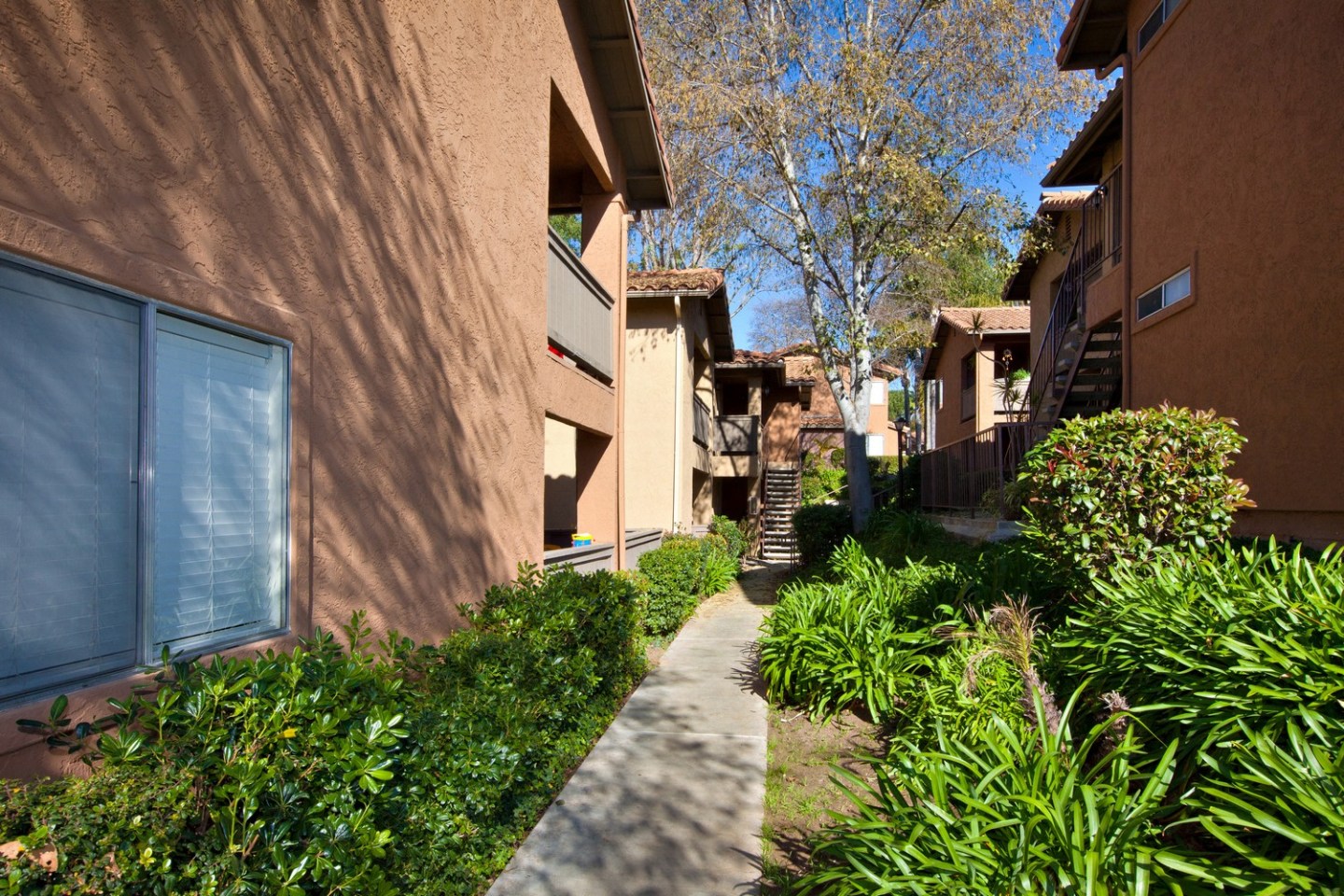 Vista Alta Apartment Homes Image 1