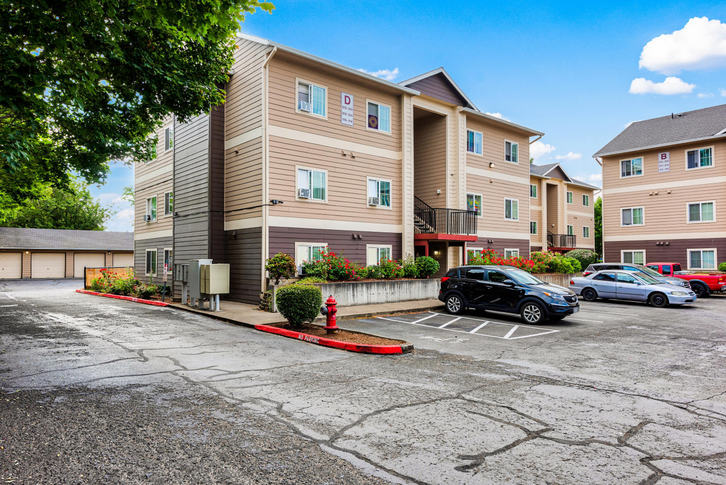 Chelsey Lane Image 23