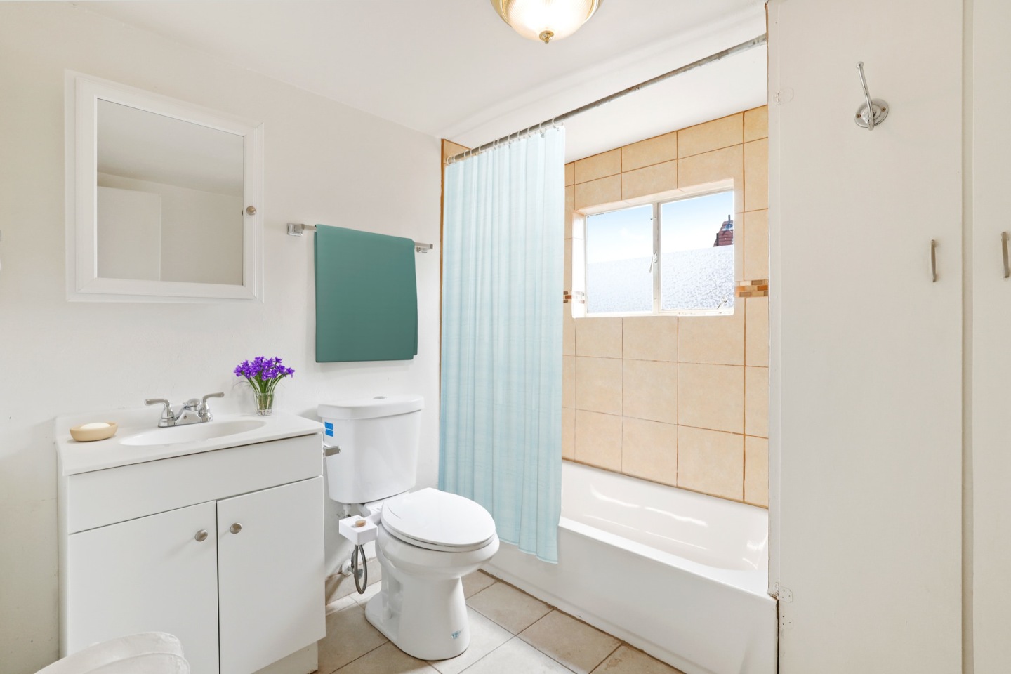 872 N Clarkson Image 6