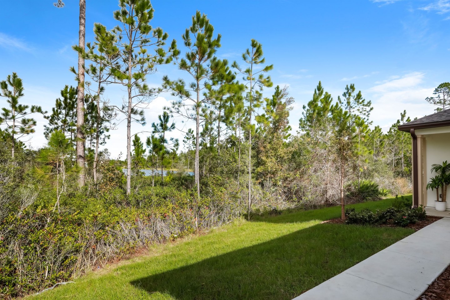 Treeline Trails Image 31