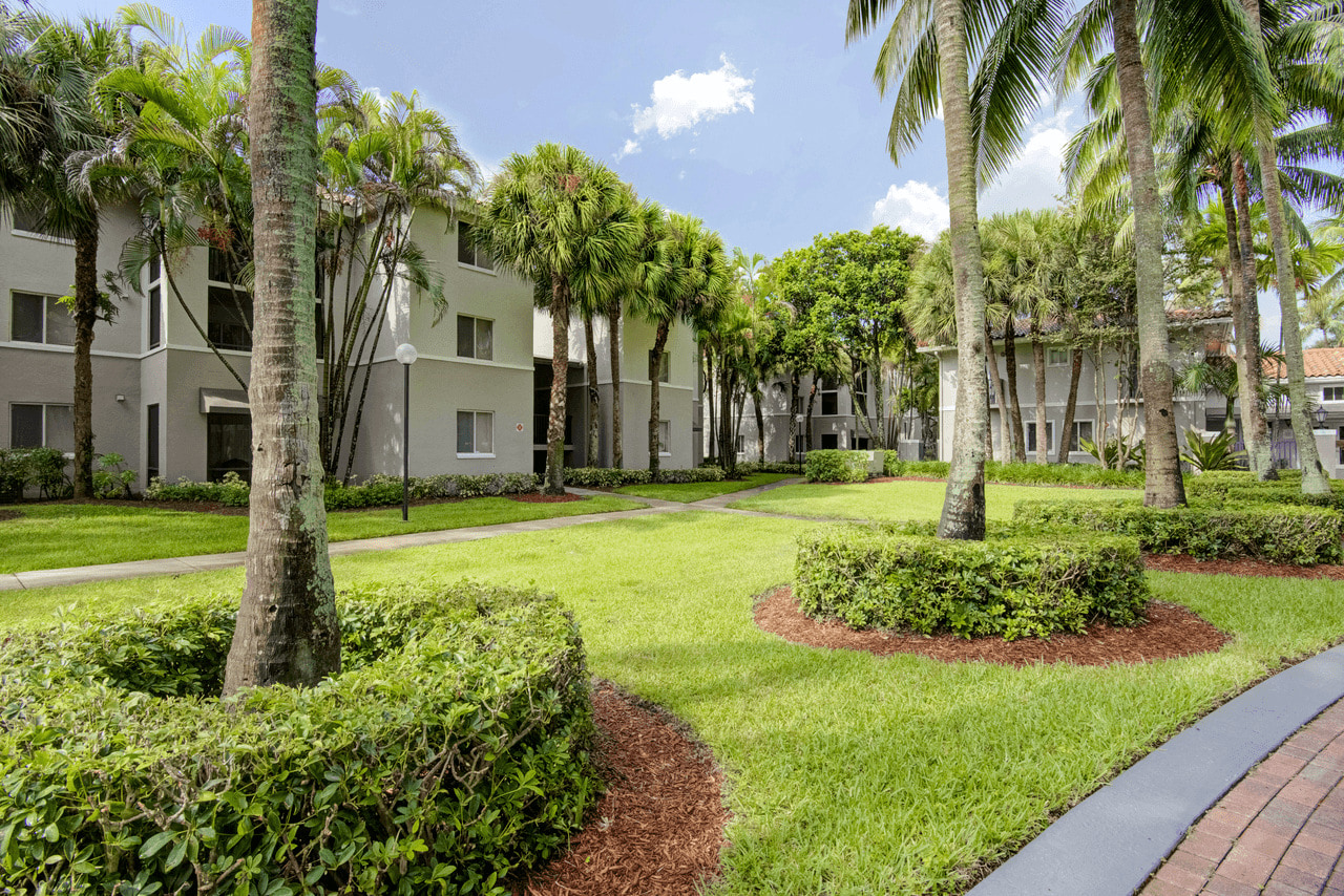 Coconut Palm Club Image 14