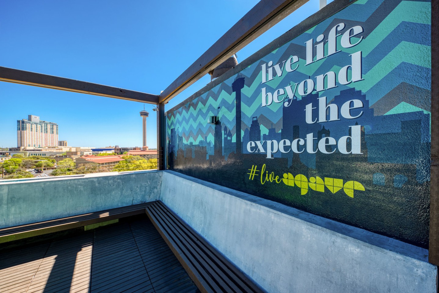 Agave Image 8