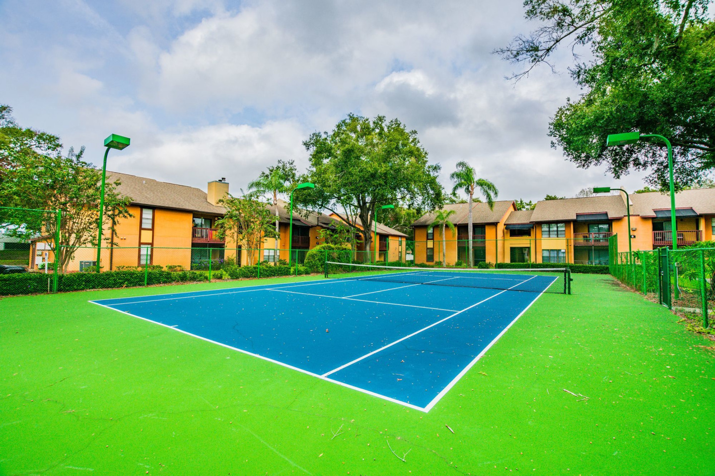 Waterstone at Carrollwood Image 6